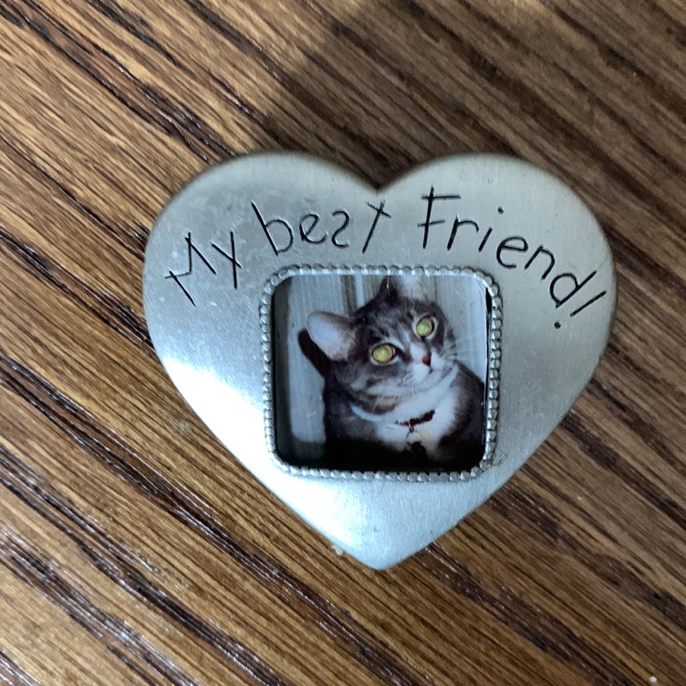 Pins for the cat lover. 9 pins in all by JJ,  TC& ? - Picture 11 of 13